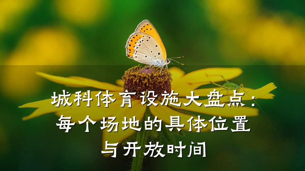 城科体育设施大盘点:每个场地的具体位置与开放时间