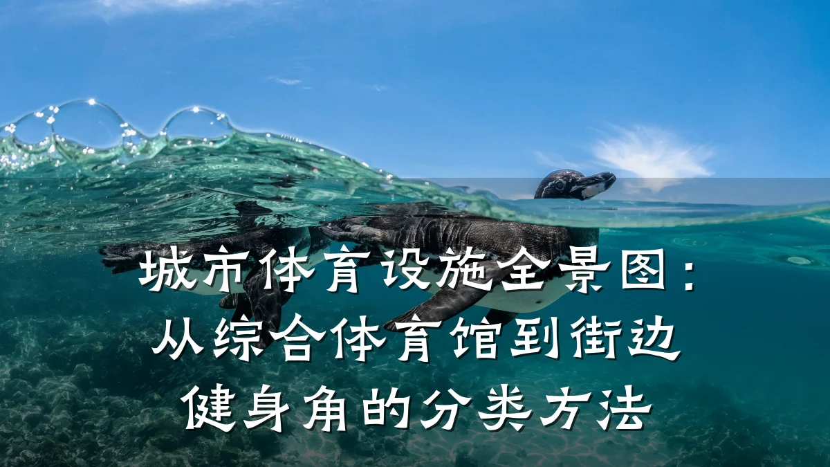 城市体育设施全景图:从综合体育馆到街边健身角的分类方法
