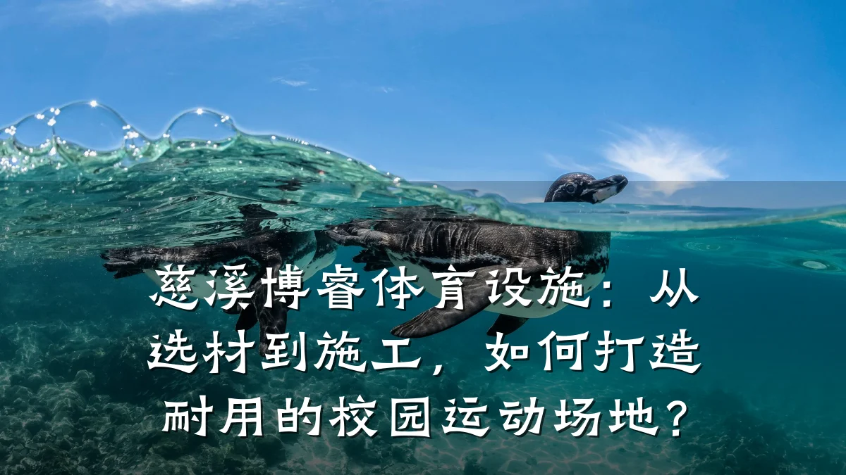 慈溪博睿体育设施:从选材到施工,如何打造耐用的校园运动场地?