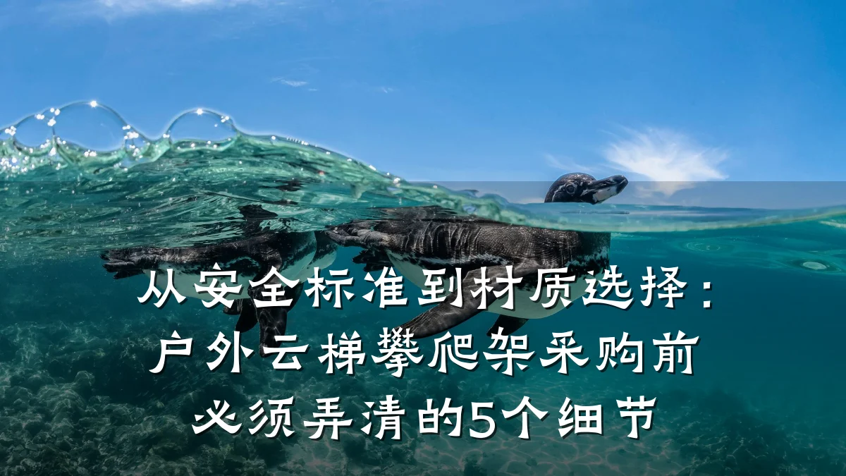 从安全标准到材质选择:户外云梯攀爬架采购前必须弄清的5个细节