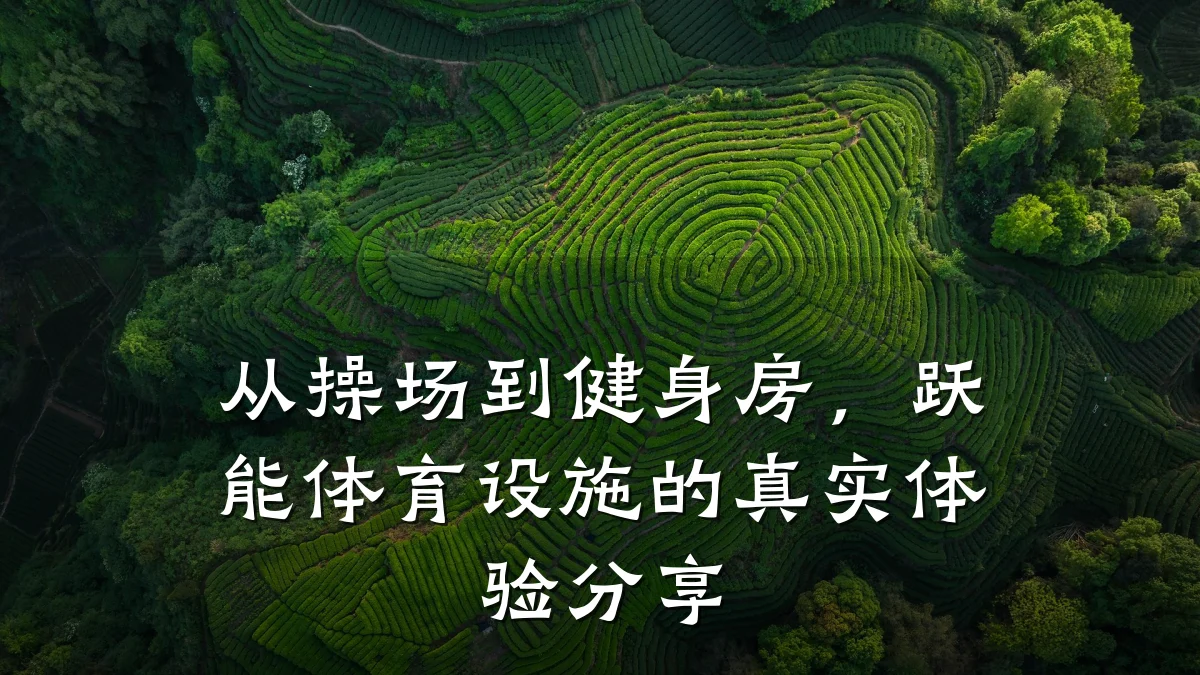 从操场到健身房，跃能体育设施的真实体验分享
