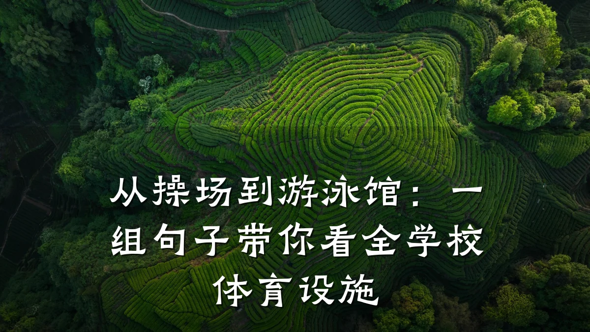 从操场到游泳馆:一组句子带你看全学校体育设施