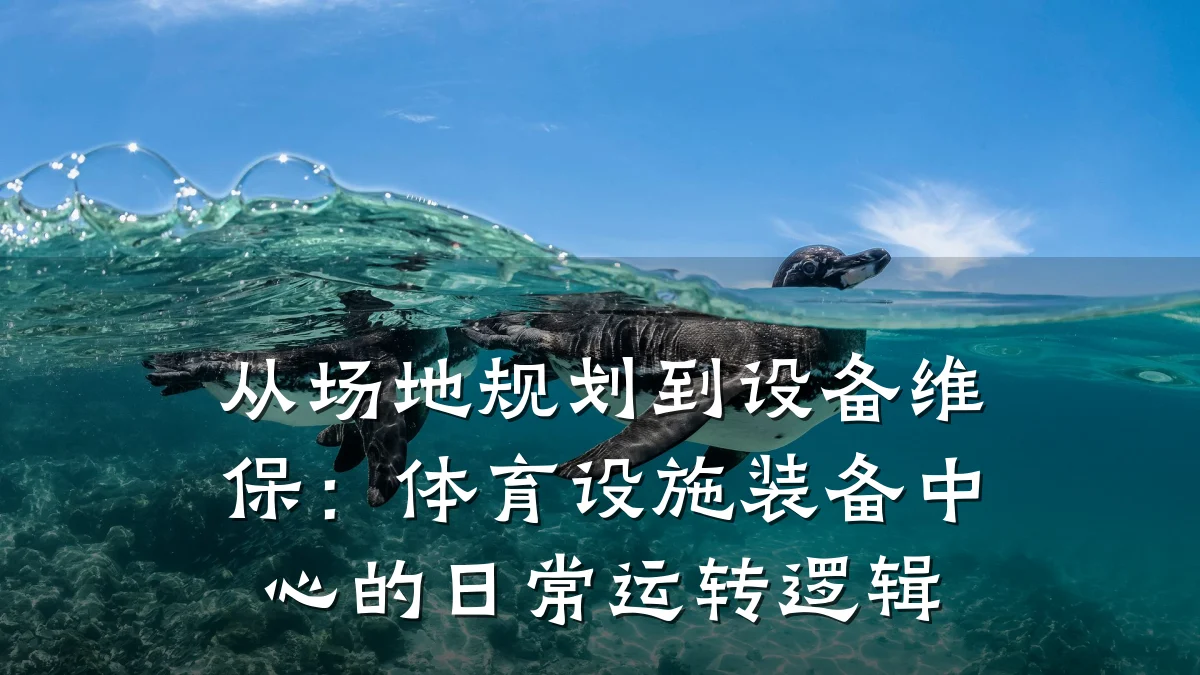 从场地规划到设备维保：体育设施装备中心的日常运转逻辑