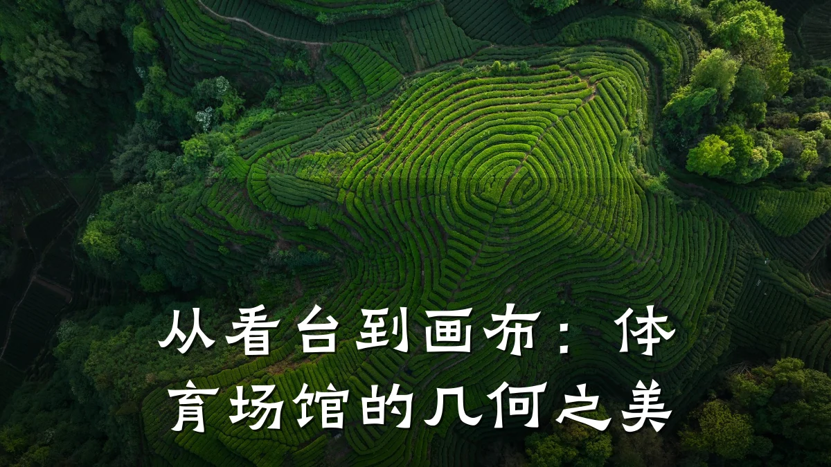 从看台到画布:体育场馆的几何之美