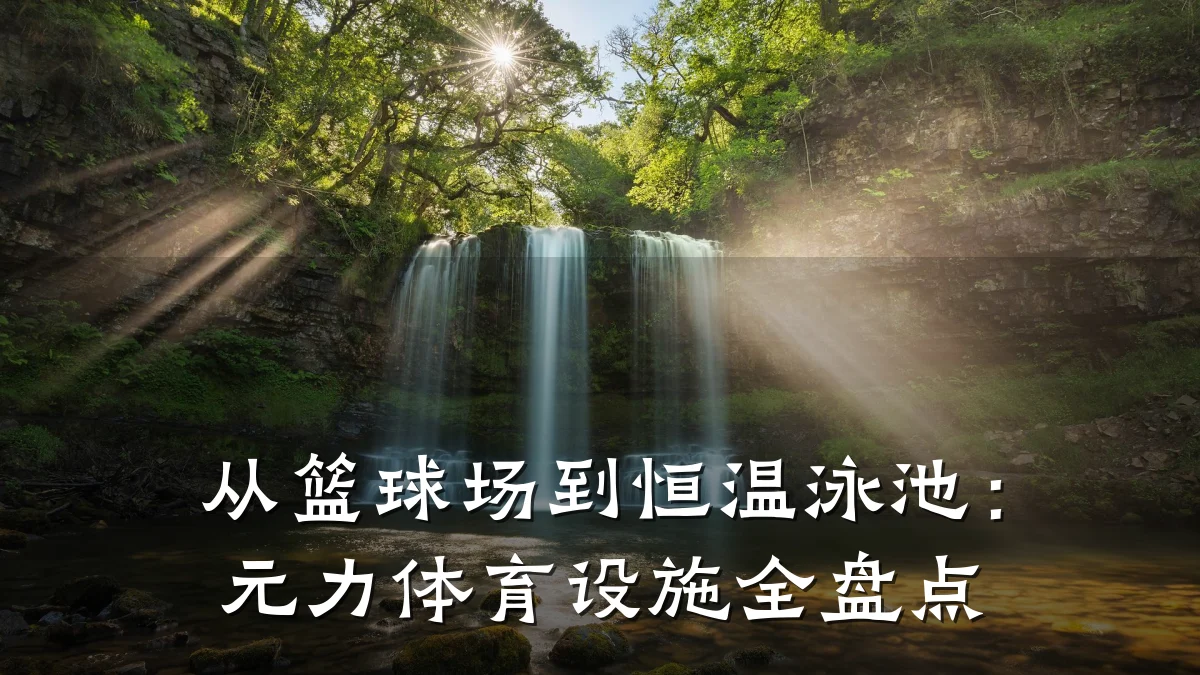 从篮球场到恒温泳池:元力体育设施全盘点