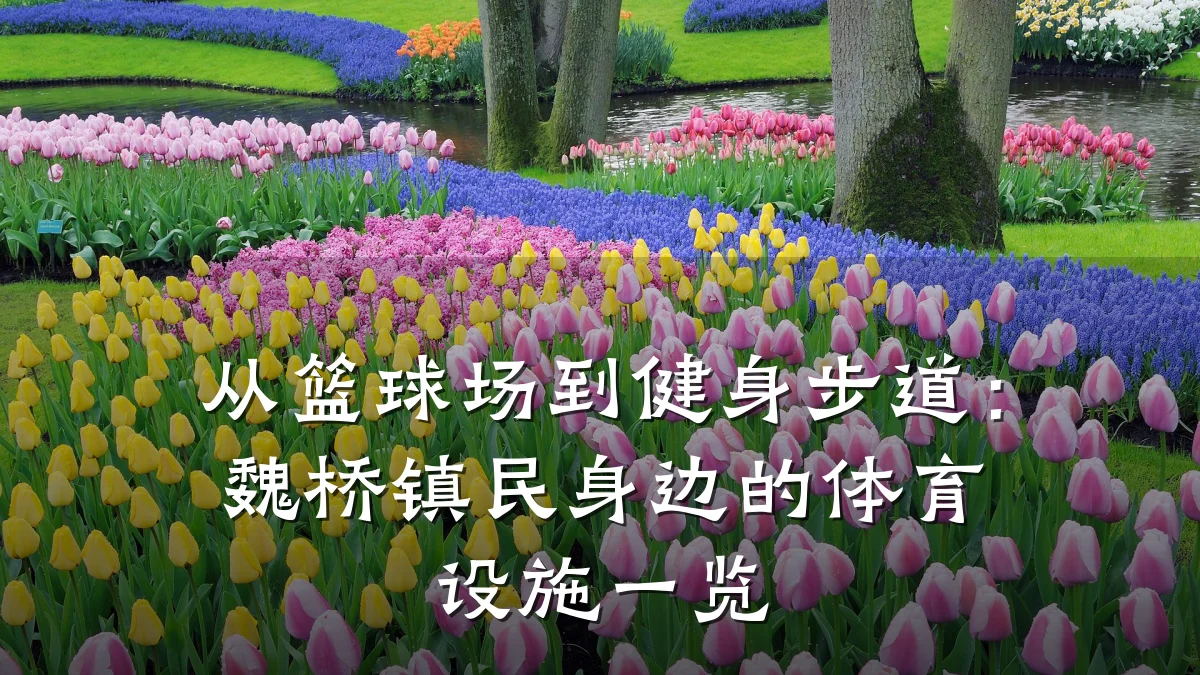 从篮球场到健身步道:魏桥镇民身边的体育设施一览