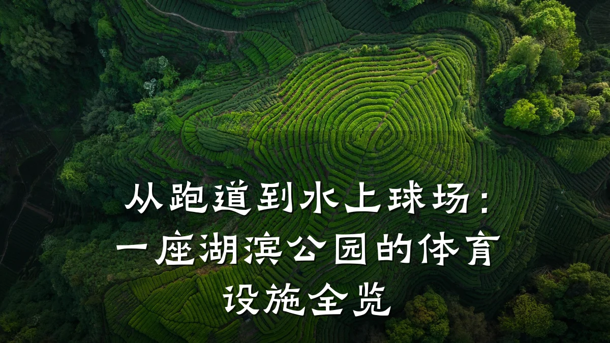 从跑道到水上球场：一座湖滨公园的体育设施全览