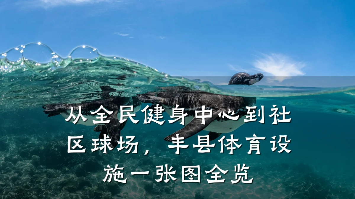 从全民健身中心到社区球场,丰县体育设施一张图全览