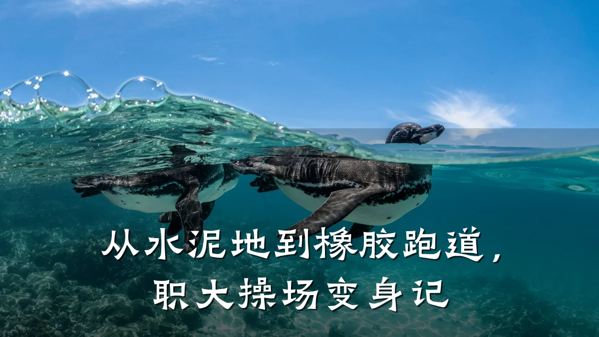 从水泥地到橡胶跑道,职大操场变身记