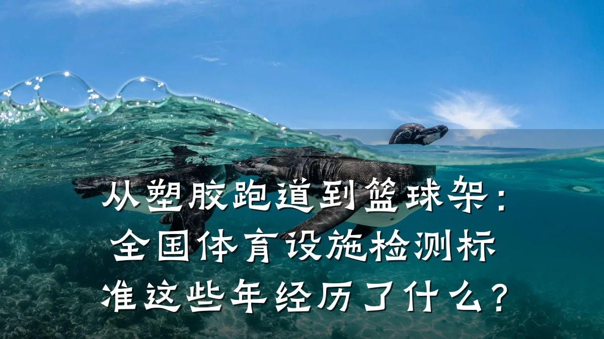 从塑胶跑道到篮球架：全国体育设施检测标准这些年经历了什么？