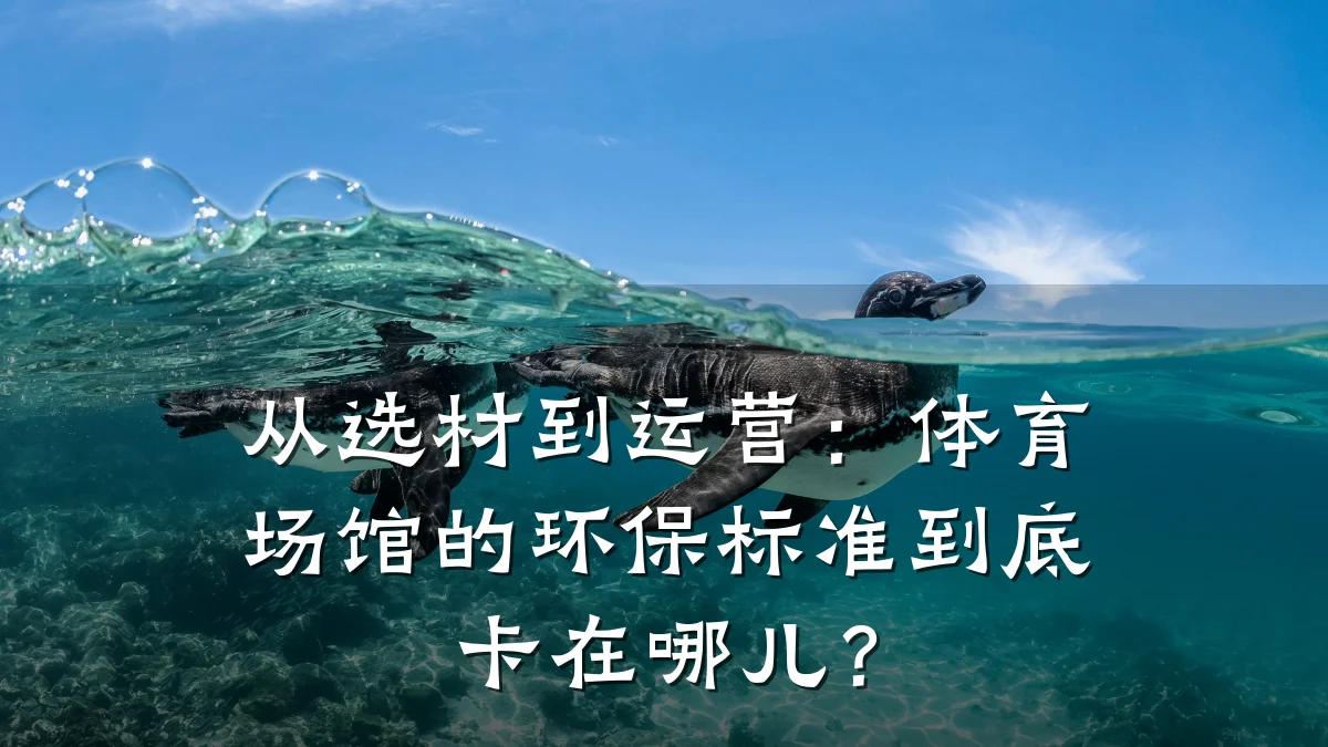从选材到运营:体育场馆的环保标准到底卡在哪儿?