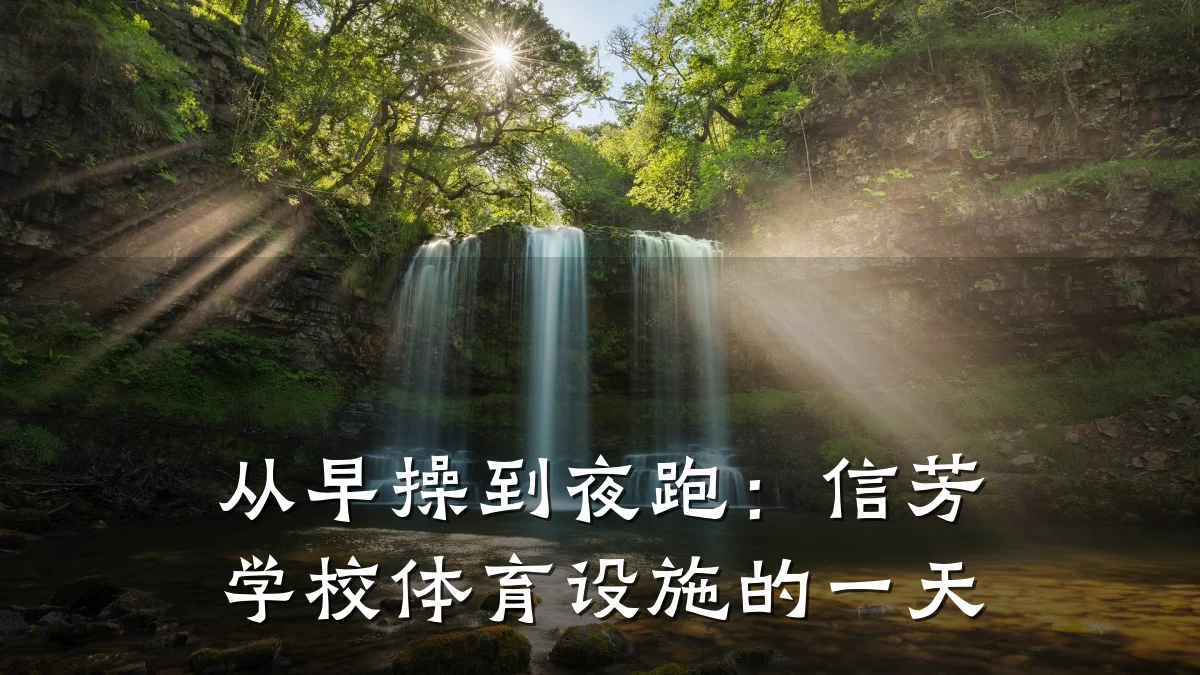 从早操到夜跑:信芳学校体育设施的一天