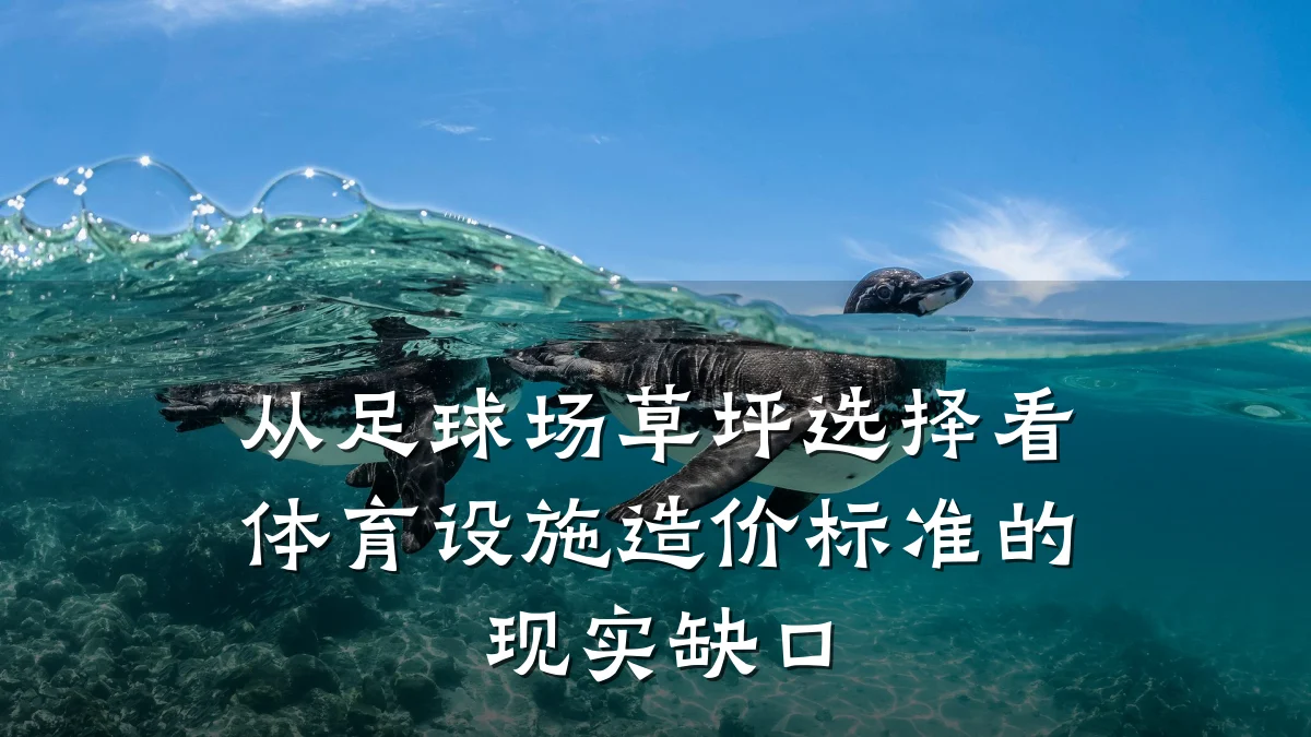 从足球场草坪选择看体育设施造价标准的现实缺口