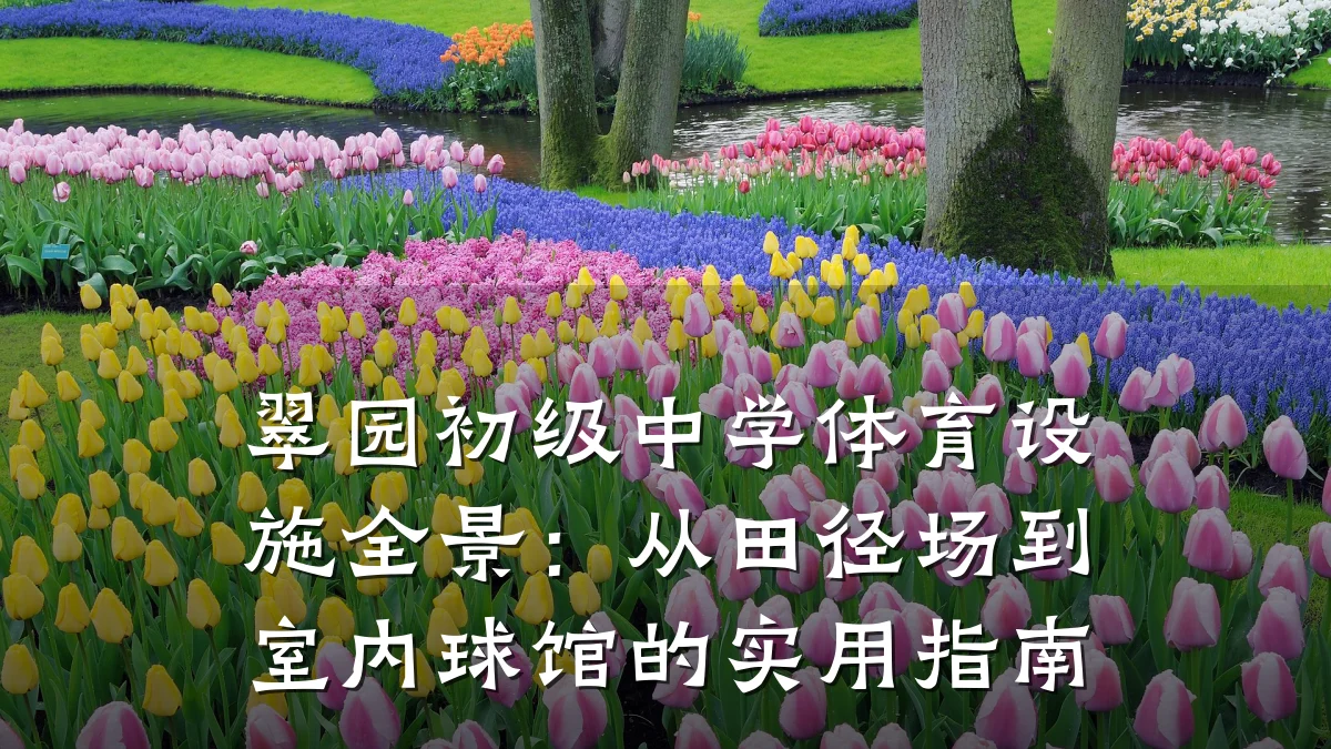 翠园初级中学体育设施全景:从田径场到室内球馆的实用指南