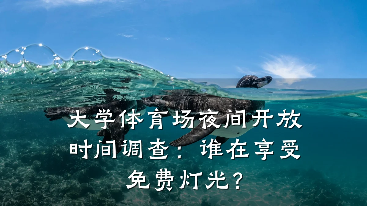 大学体育场夜间开放时间调查:谁在享受免费灯光?