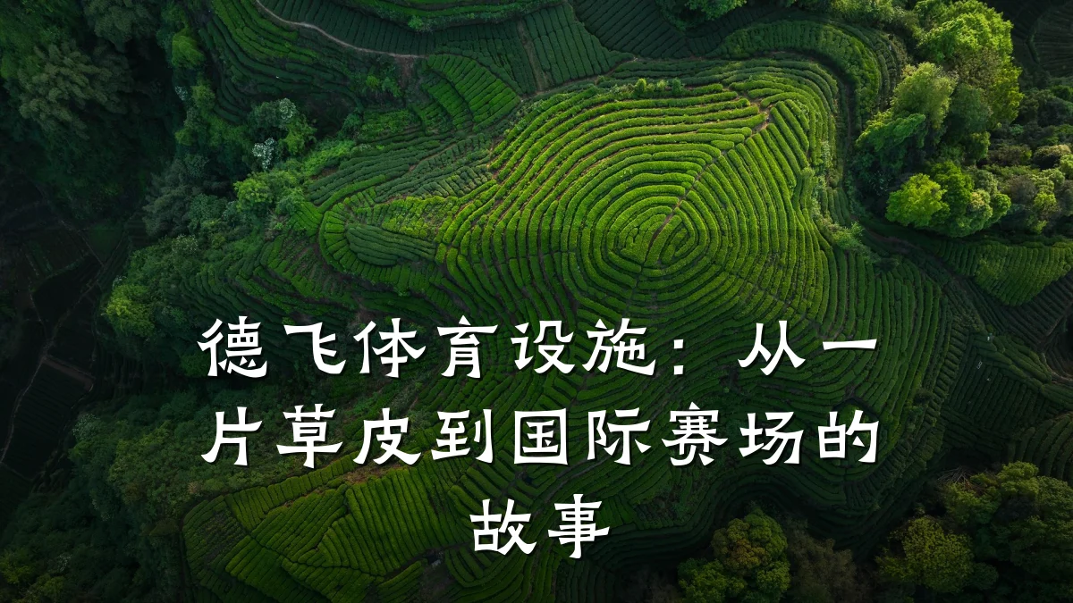 德飞体育设施:从一片草皮到国际赛场的故事