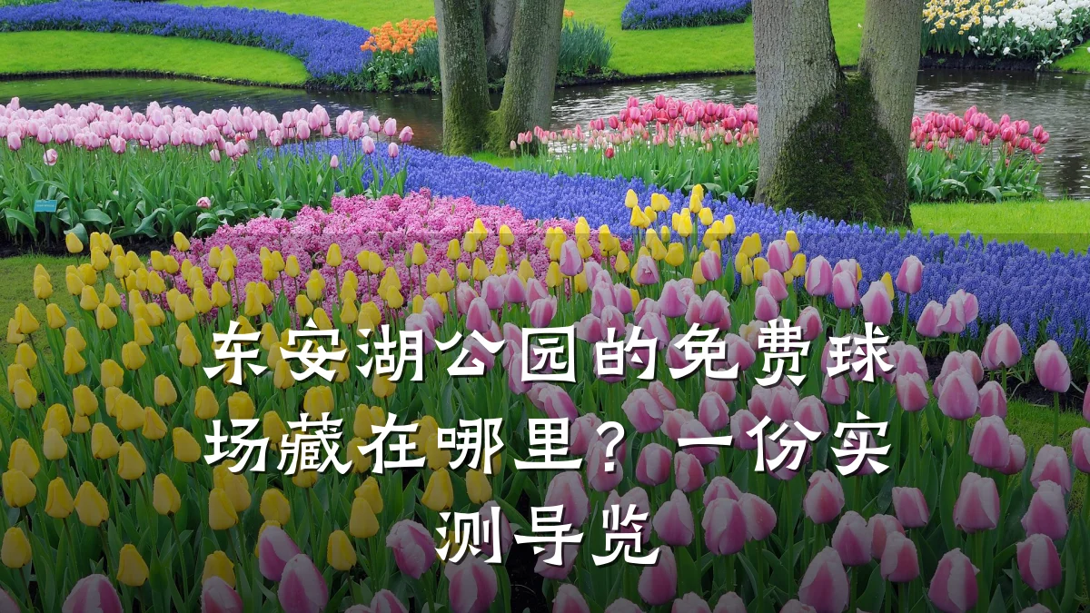 东安湖公园的免费球场藏在哪里？一份实测导览