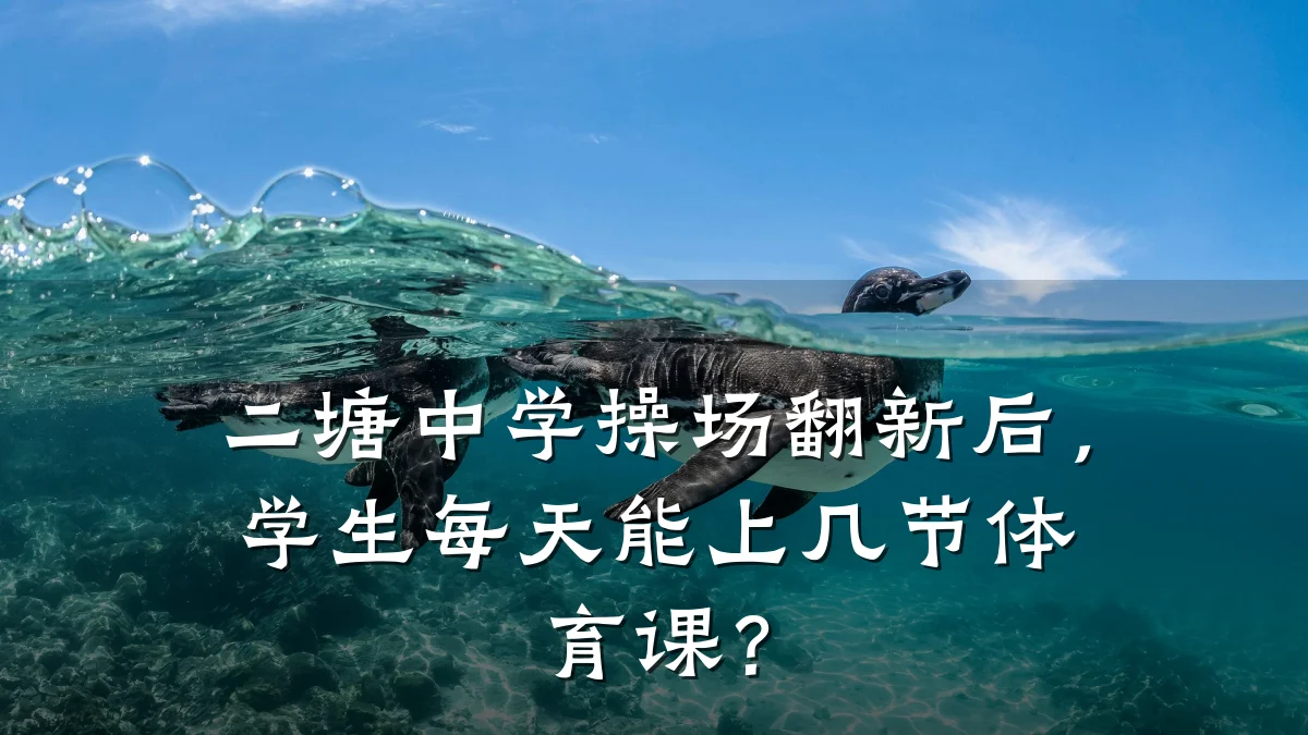 二塘中学操场翻新后,学生每天能上几节体育课?