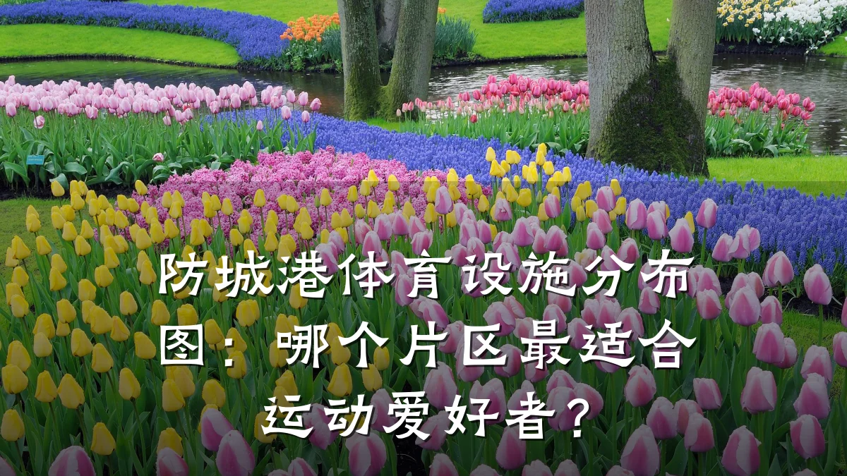 防城港体育设施分布图:哪个片区最适合运动爱好者?