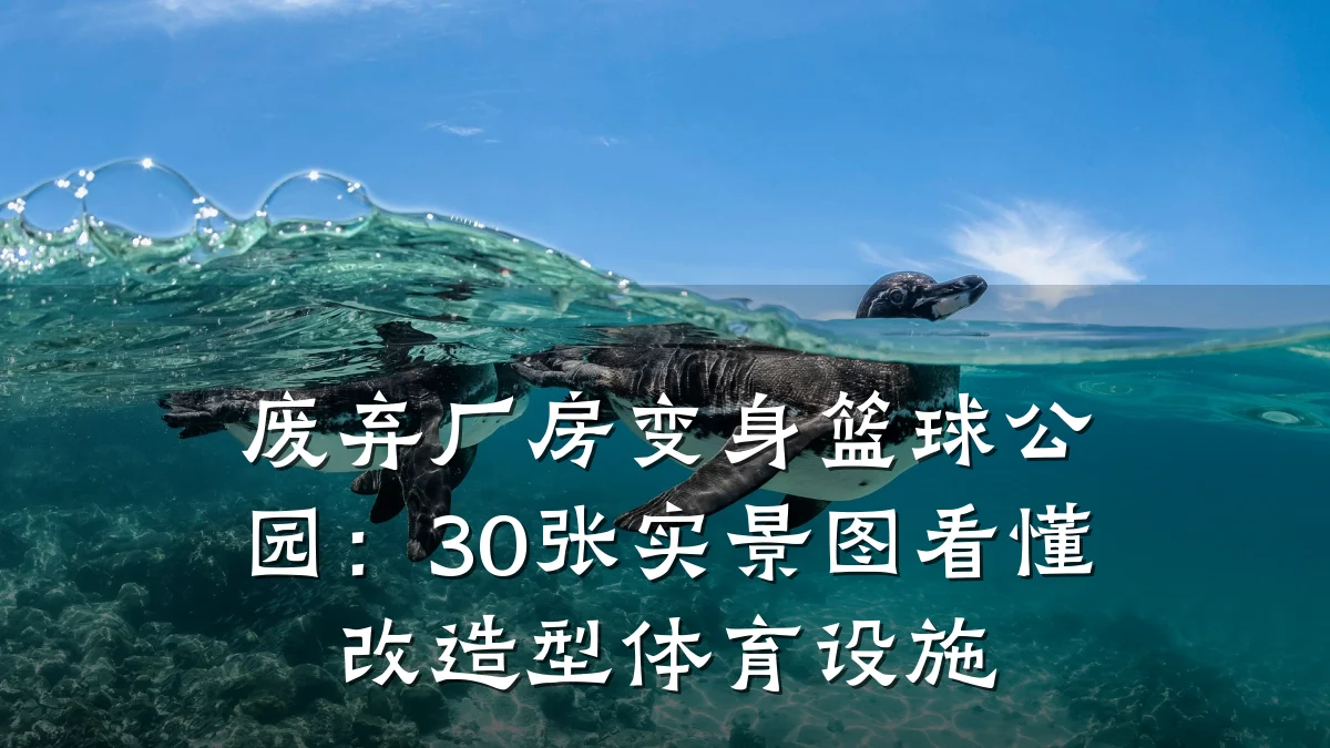 废弃厂房变身篮球公园:30张实景图看懂改造型体育设施