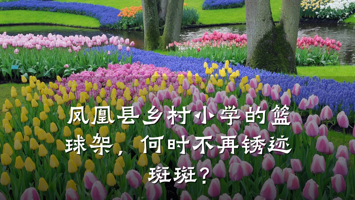 凤凰县乡村小学的篮球架,何时不再锈迹斑斑?