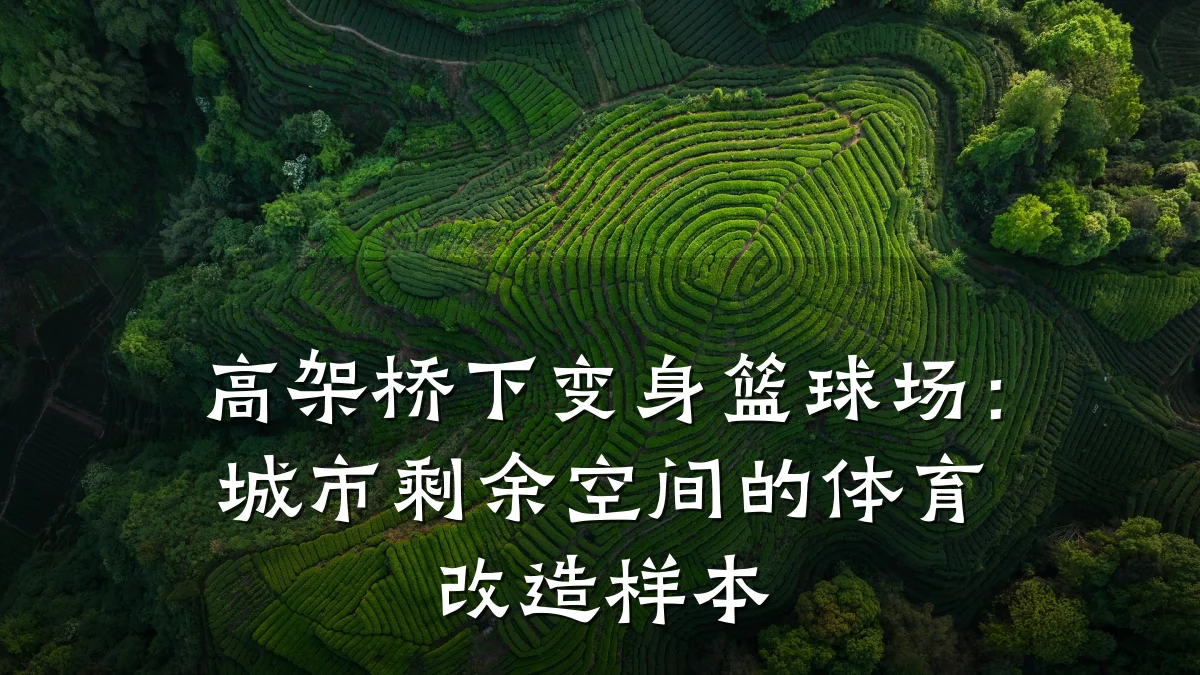高架桥下变身篮球场:城市剩余空间的体育改造样本