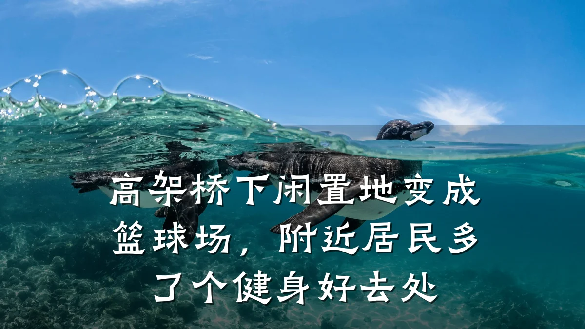 高架桥下闲置地变成篮球场,附近居民多了个健身好去处