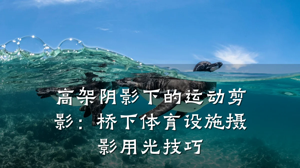 高架阴影下的运动剪影:桥下体育设施摄影用光技巧