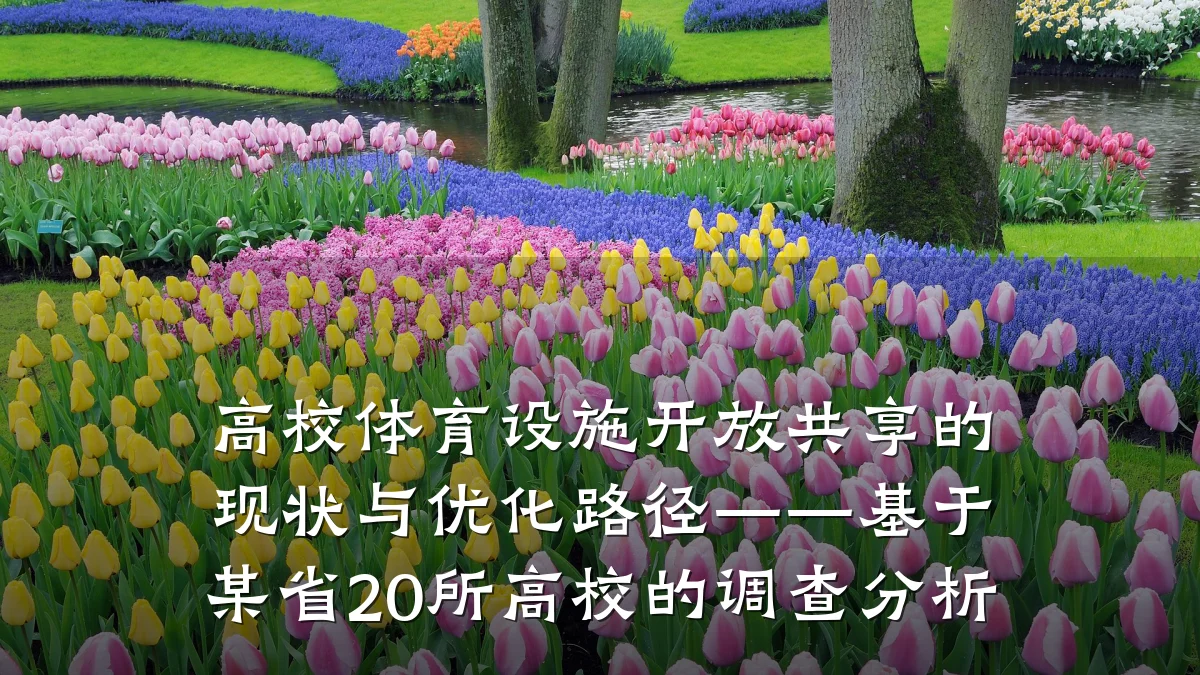 高校体育设施开放共享的现状与优化路径——基于某省20所高校的调查分析