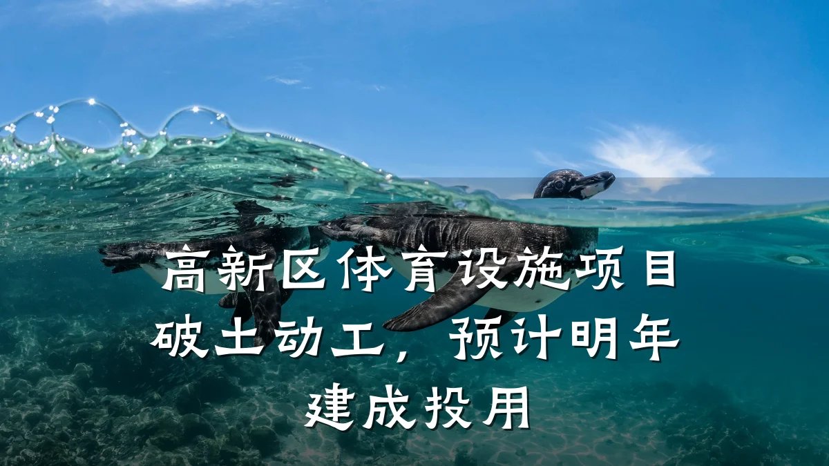 高新区体育设施项目破土动工,预计明年建成投用