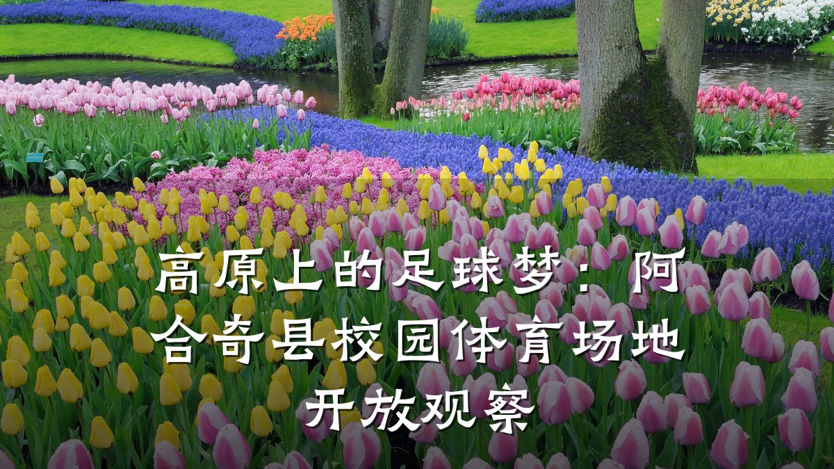 高原上的足球梦:阿合奇县校园体育场地开放观察
