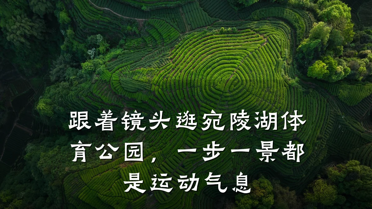 跟着镜头逛宛陵湖体育公园,一步一景都是运动气息