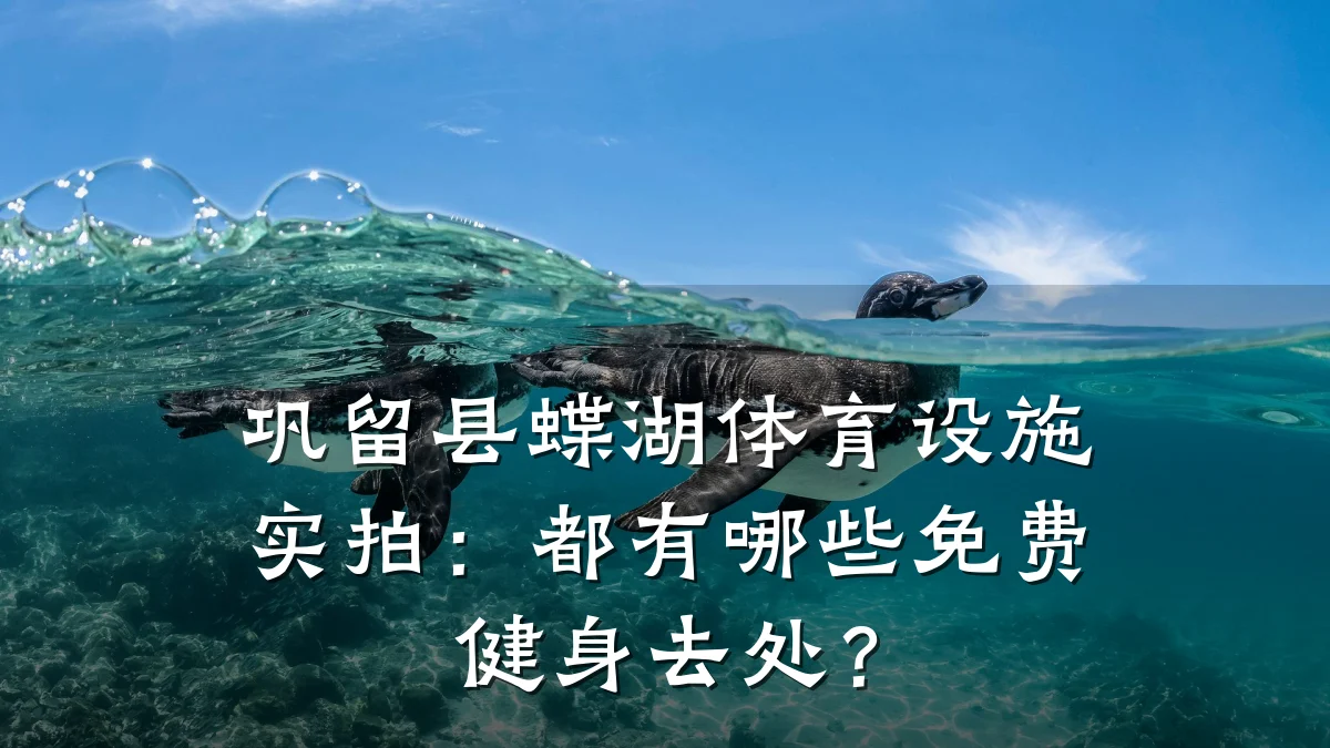 巩留县蝶湖体育设施实拍：都有哪些免费健身去处？