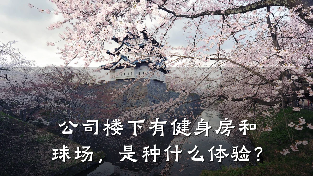 公司楼下有健身房和球场,是种什么体验?