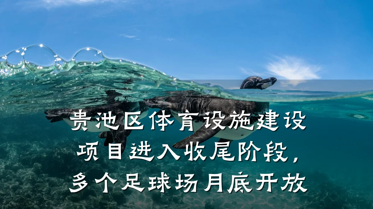 贵池区体育设施建设项目进入收尾阶段,多个足球场月底开放