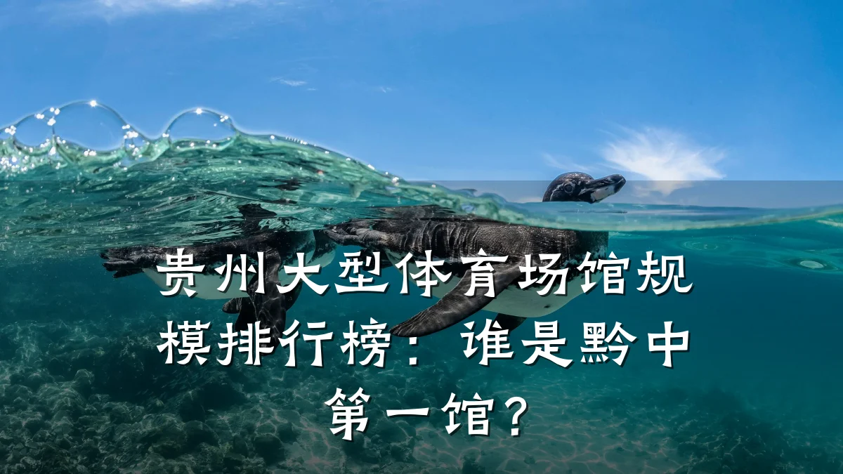 贵州大型体育场馆规模排行榜:谁是黔中第一馆?