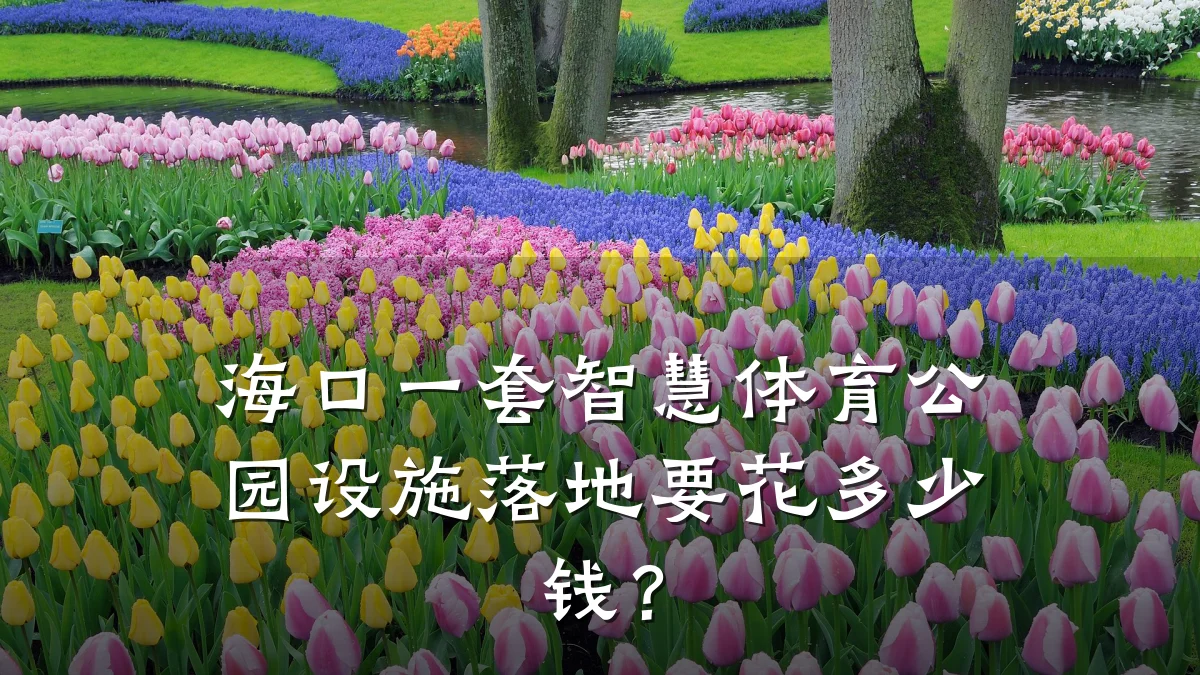 海口一套智慧体育公园设施落地要花多少钱?