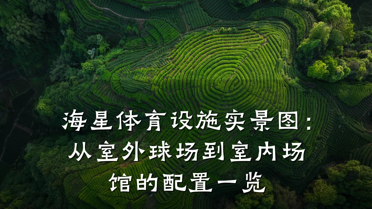 海星体育设施实景图:从室外球场到室内场馆的配置一览