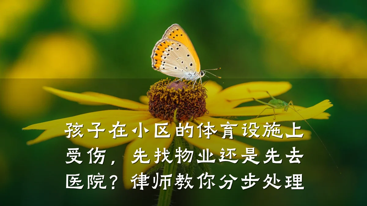 孩子在小区的体育设施上受伤,先找物业还是先去医院?律师教你分步处理