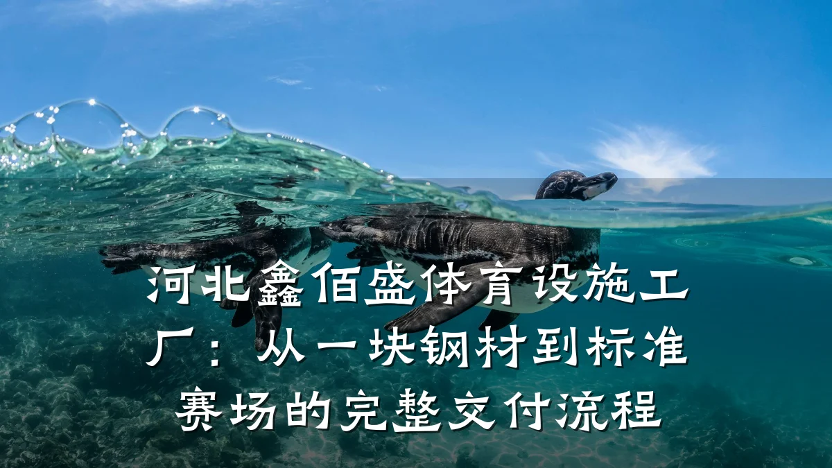 河北鑫佰盛体育设施工厂:从一块钢材到标准赛场的完整交付流程