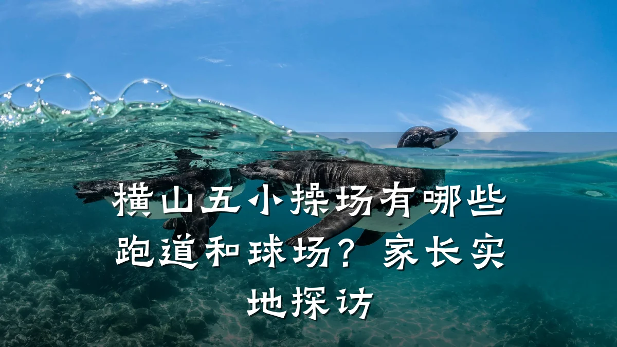 横山五小操场有哪些跑道和球场?家长实地探访