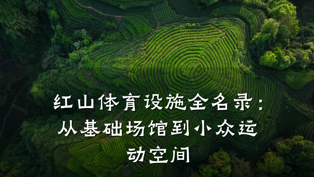 红山体育设施全名录:从基础场馆到小众运动空间