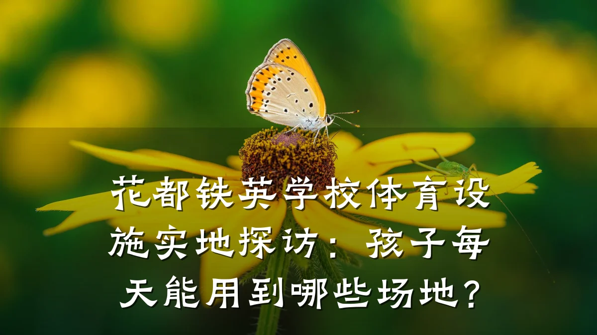 花都铁英学校体育设施实地探访:孩子每天能用到哪些场地?