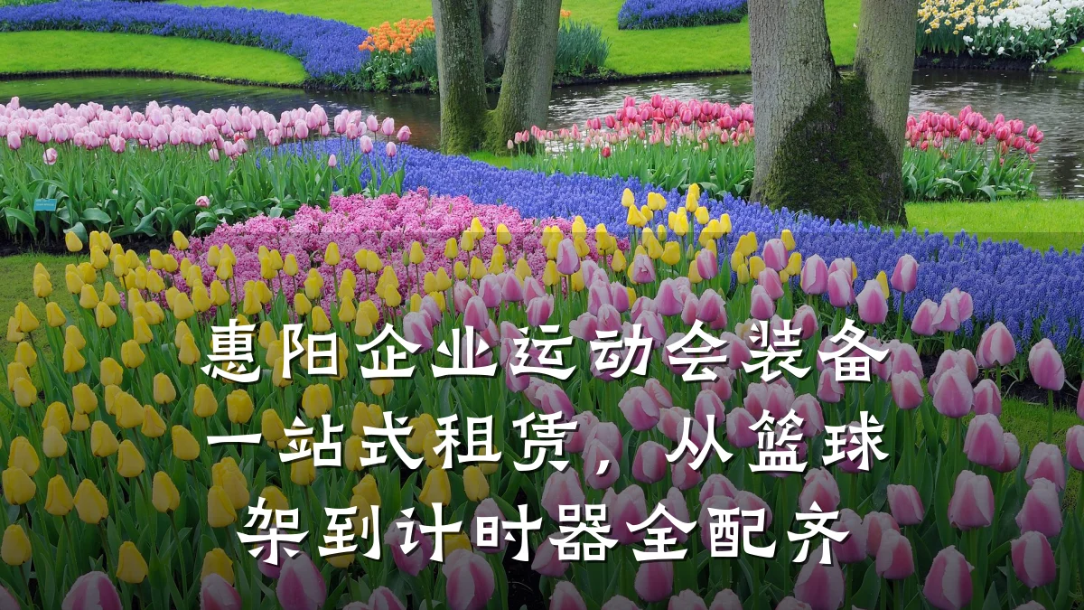 惠阳企业运动会装备一站式租赁,从篮球架到计时器全配齐