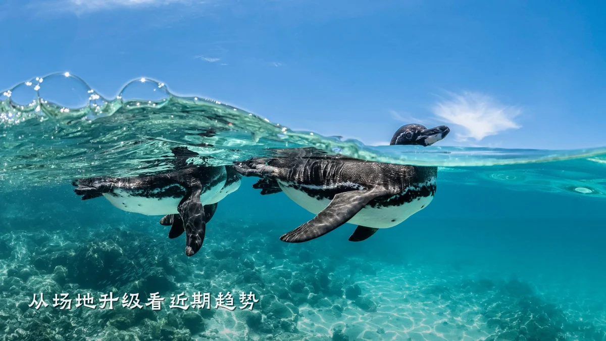 从场地升级看近期趋势