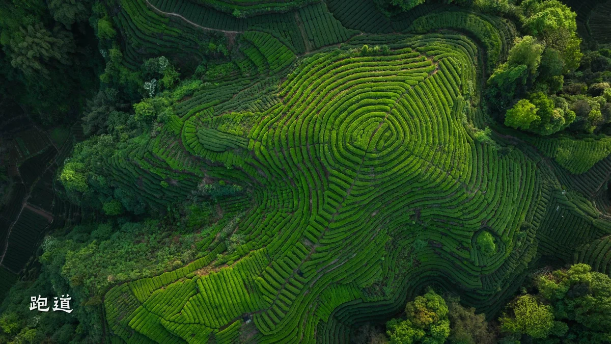 跑道