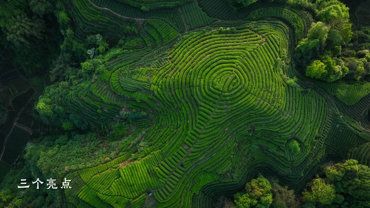 三个亮点