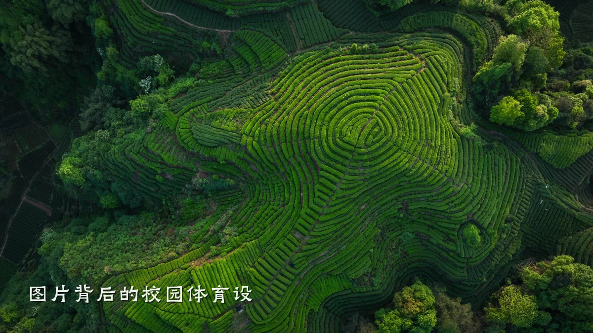 图片背后的校园体育设