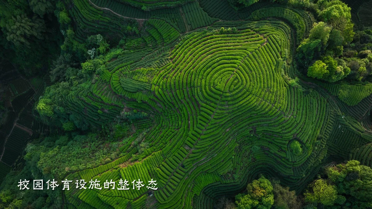 校园体育设施的整体态