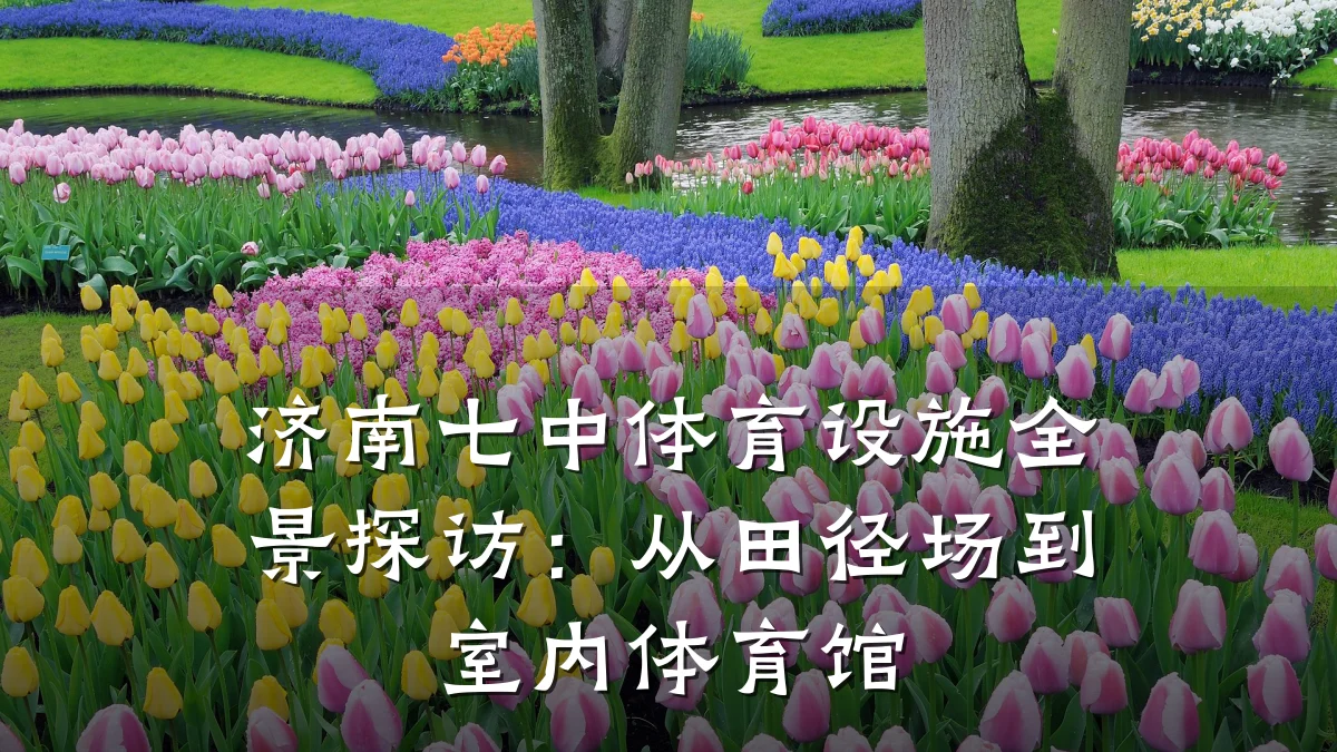 济南七中体育设施全景探访:从田径场到室内体育馆